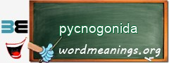 WordMeaning blackboard for pycnogonida